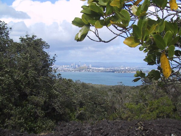 ���̉摜�͎����I�ɐ؂�ւ��܂�...