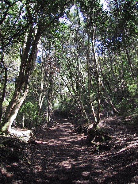 ���̉摜�͎����I�ɐ؂�ւ��܂�...