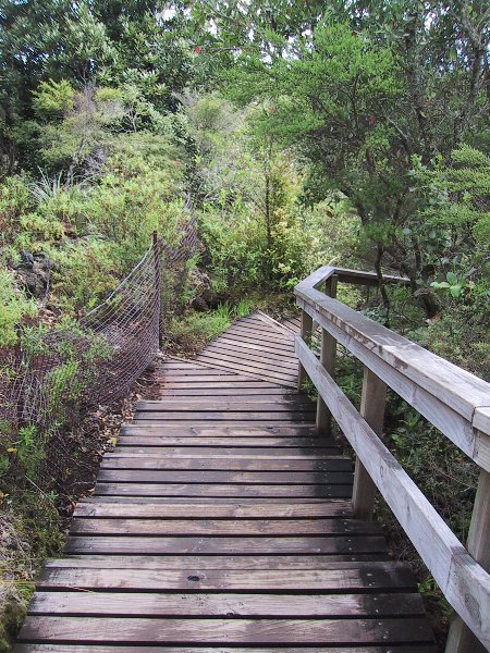 ���̉摜�͎����I�ɐ؂�ւ��܂�...