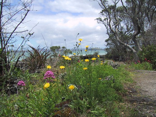 ���̉摜�͎����I�ɐ؂�ւ��܂�...