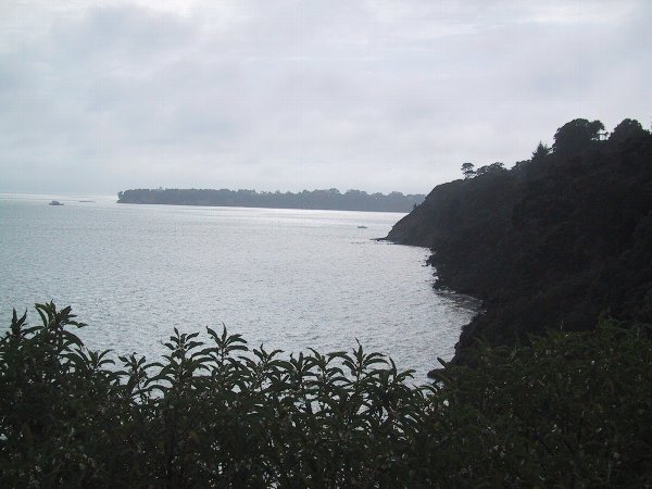 ���̉摜�͎����I�ɐ؂�ւ��܂�...