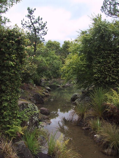 ���̉摜�͎����I�ɐ؂�ւ��܂�...