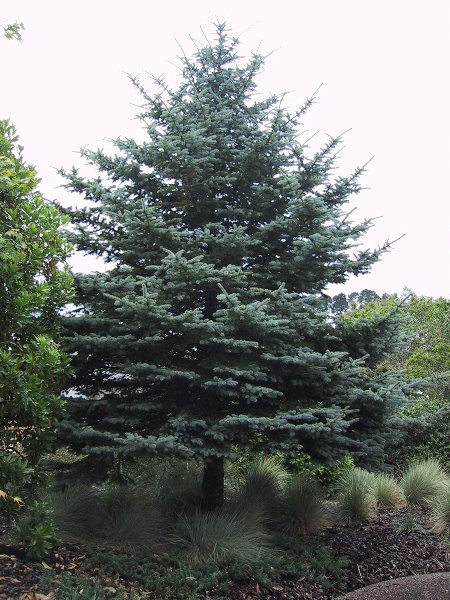 ���̉摜�͎����I�ɐ؂�ւ��܂�...