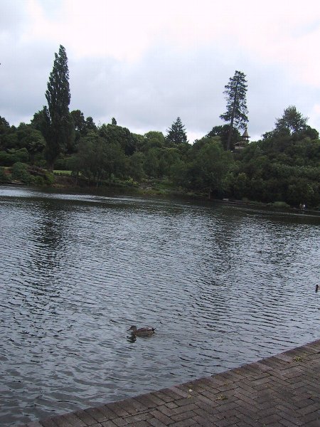 ���̉摜�͎����I�ɐ؂�ւ��܂�...