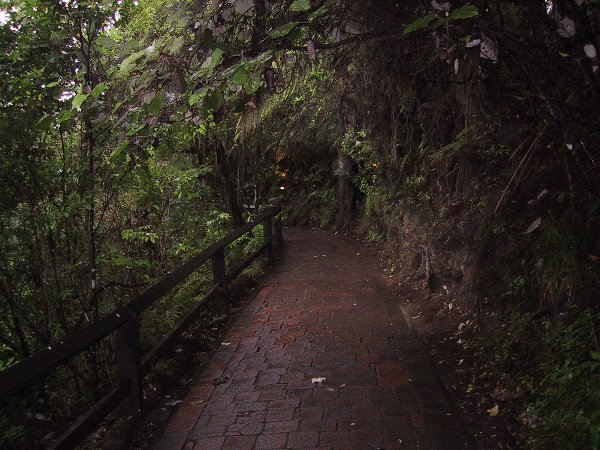 ���̉摜�͎����I�ɐ؂�ւ��܂�...