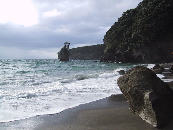 ���̉摜�͎����I�ɐ؂�ւ��܂�...