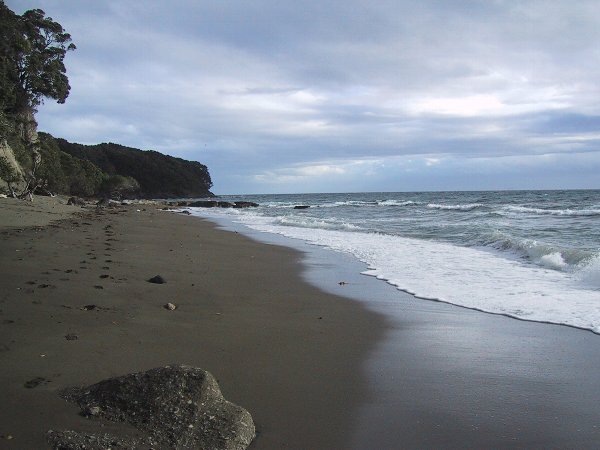 ���̉摜�͎����I�ɐ؂�ւ��܂�...