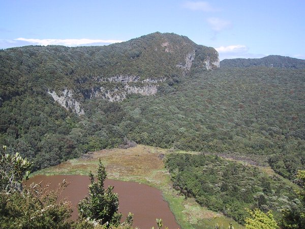 ���̉摜�͎����I�ɐ؂�ւ��܂�...