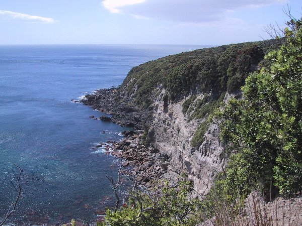 ���̉摜�͎����I�ɐ؂�ւ��܂�...