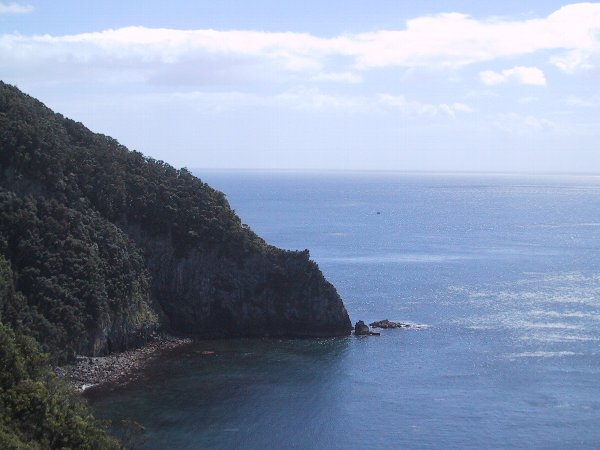 ���̉摜�͎����I�ɐ؂�ւ��܂�...