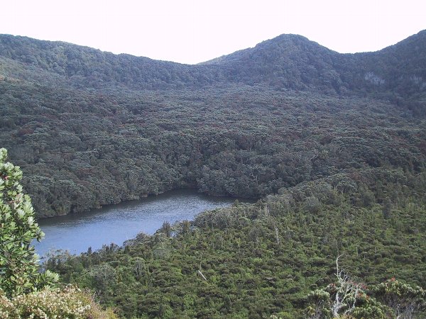 ���̉摜�͎����I�ɐ؂�ւ��܂�...