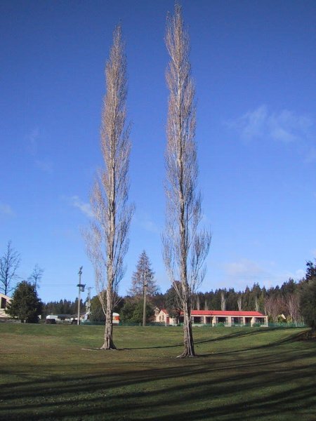 ���̉摜�͎����I�ɐ؂�ւ��܂�...